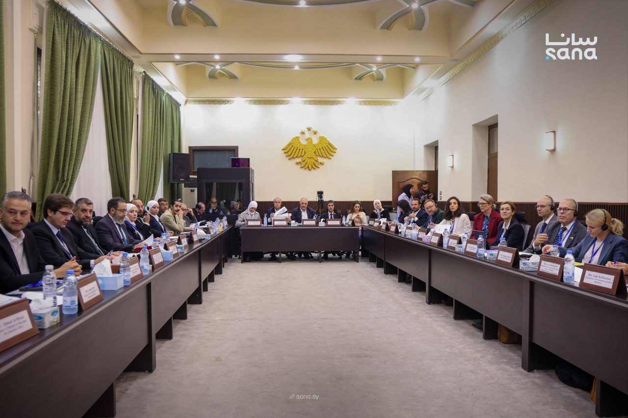 Syria and Germany seek stronger cooperation in education, science and culture
