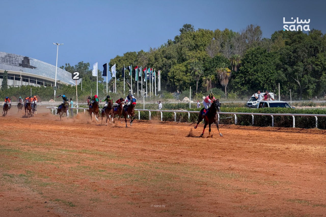 UAE President&rsquo;s Cup for purebred Arabian horses debuts in Syria